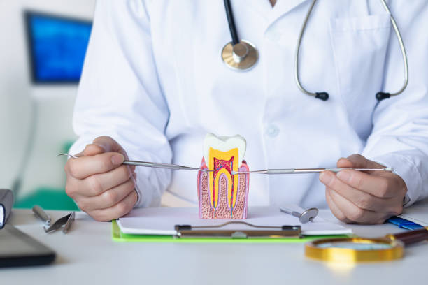 Best Pediatric Emergency Dentist in Hibbing, MN